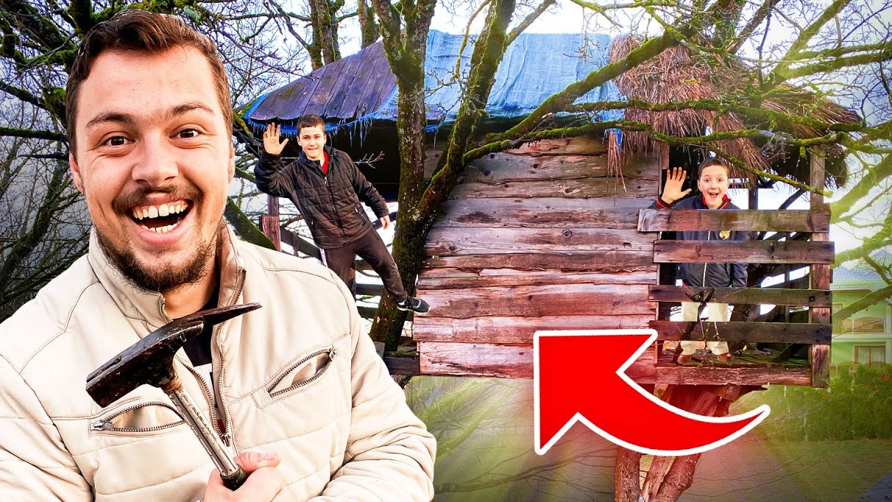 24h u KUĆICI na DRVETU !