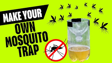 How to Make DIY Mosquito Trap Easily