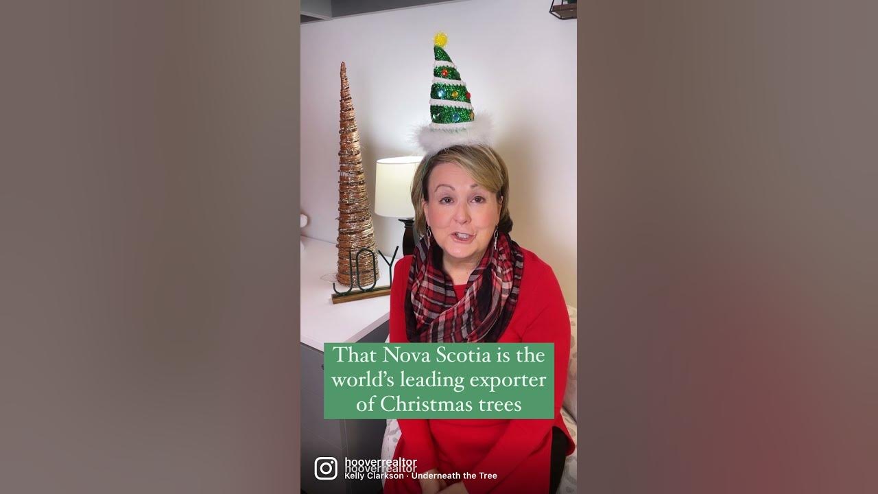 World's Leading Christmas Tree Exporter YouTube