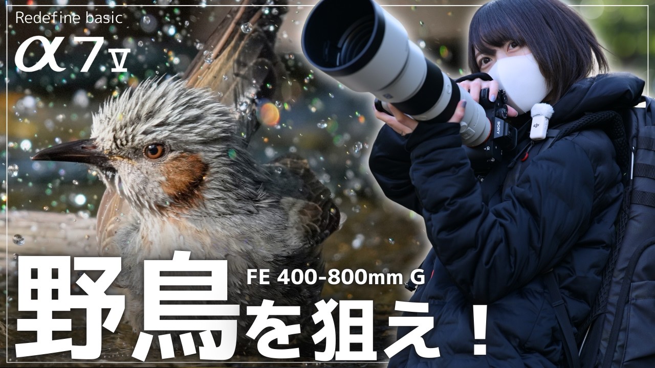 Super Telephoto] Sony α7 V | Over 200 Photos of Wild Birds Bathing