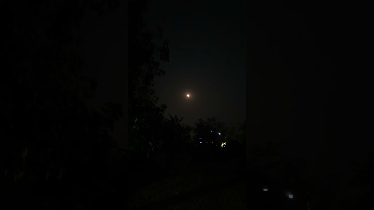 Sleeping under the blanket of moon. ...