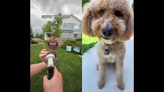 Hose roulette part 2