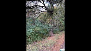 429 HAGWOOD CIR 1 video tour