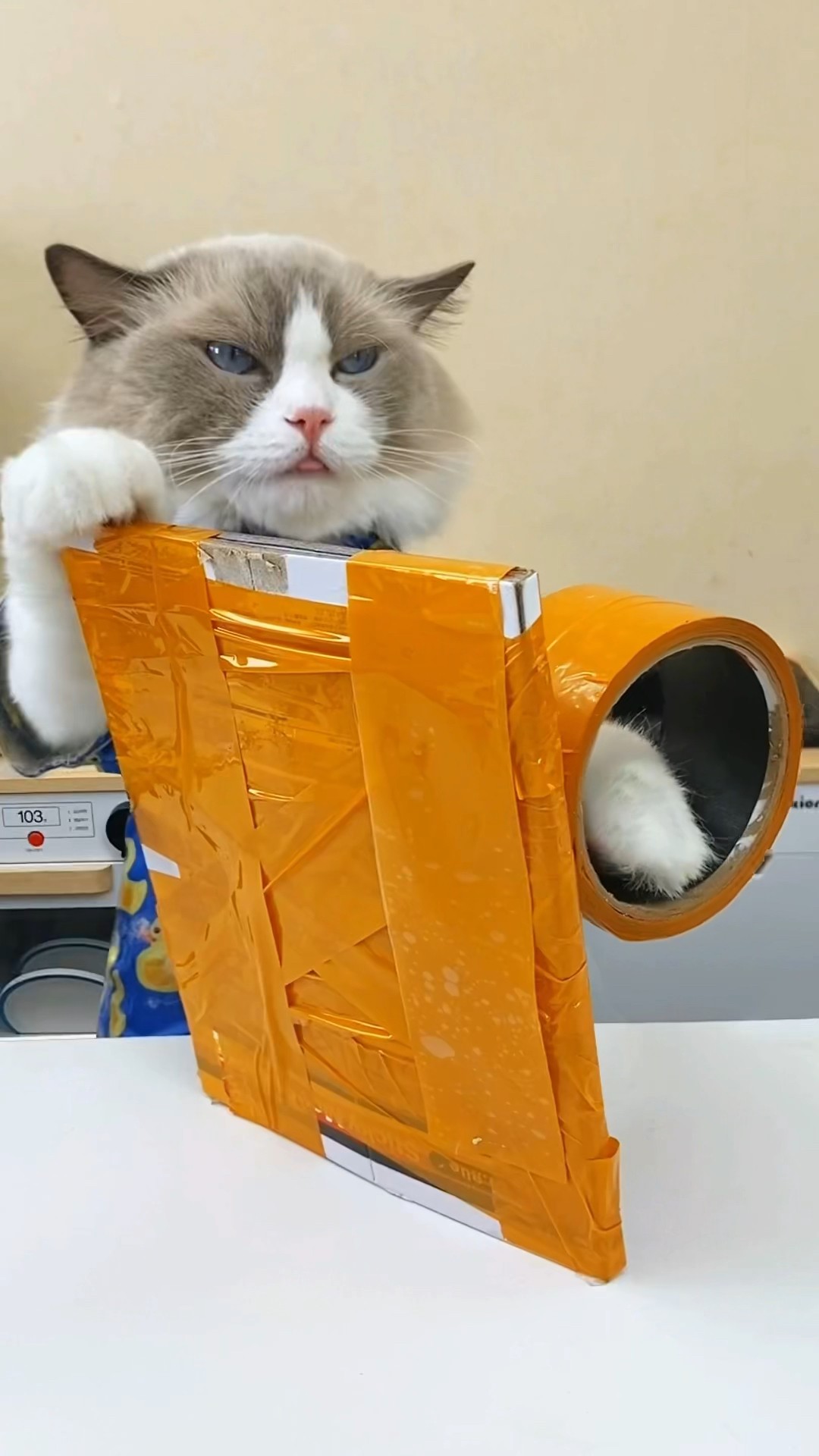 ? Puff’s guide on wrapping sticky mouse boards safely! #SafetyFirst #PuffHacks #ThatLittlePuff