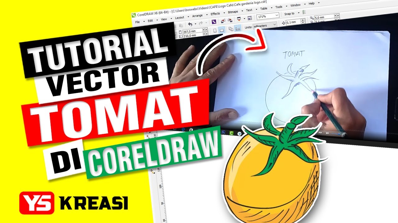  035 Tutorial  desain  vector tomat di coreldraw  lengkap 