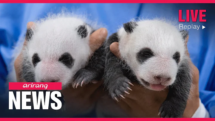 [LIVE] 21:00 ARIRANG NEWS (2023-08-07)