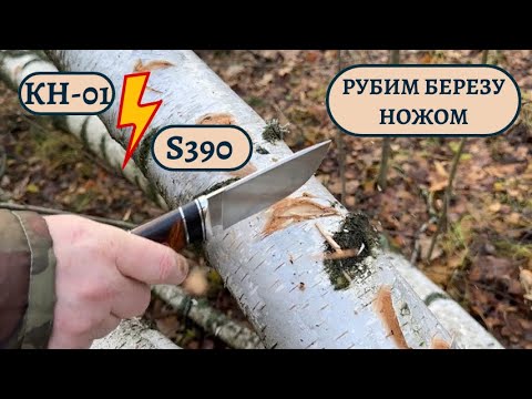 Видео: Сравниваем нашу фирменную сталь КН-01 и S390. Рубим березу ножом!