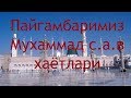 Пайгамбаримиз Мухаммад с.а.в хаётлари Payg&#39;ambarimiz Muhammad s.a.v hayotlari