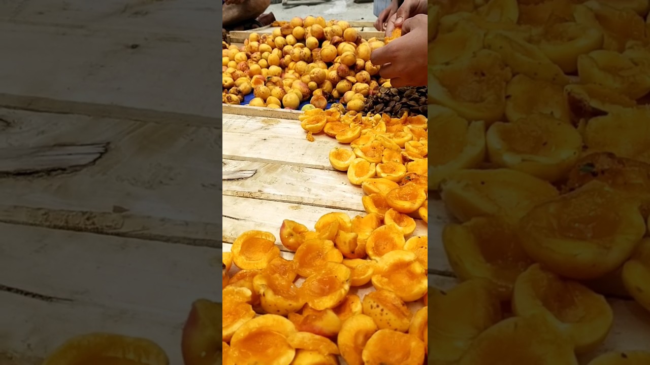 How to Dry Apricot ❤️.   