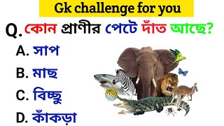 Bangla gk questions answer/ bangla gk/ bangla quiz/ quiz bangla/Rnfact