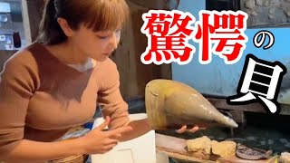 このデカすぎる貝柱にひそむ、かわいすぎる住人とは・・・？【魚屋の森さん】　#タイラガイ
