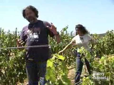 Wine Makers - THE SOURCE - Manfred Krankl -SQN