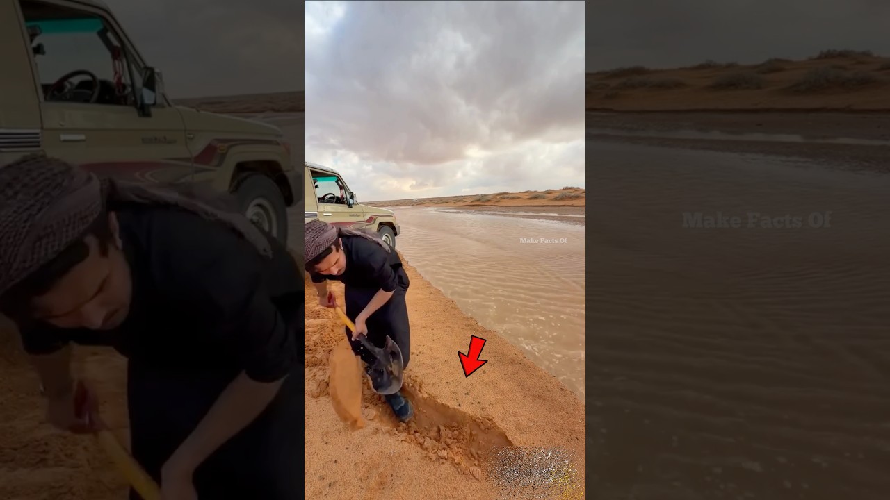 He Dug the Ground Seriously… But Just Sat There