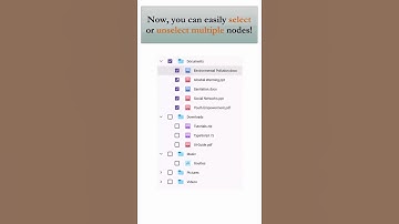 How to Select Multiple Items in .NET MAUI TreeView