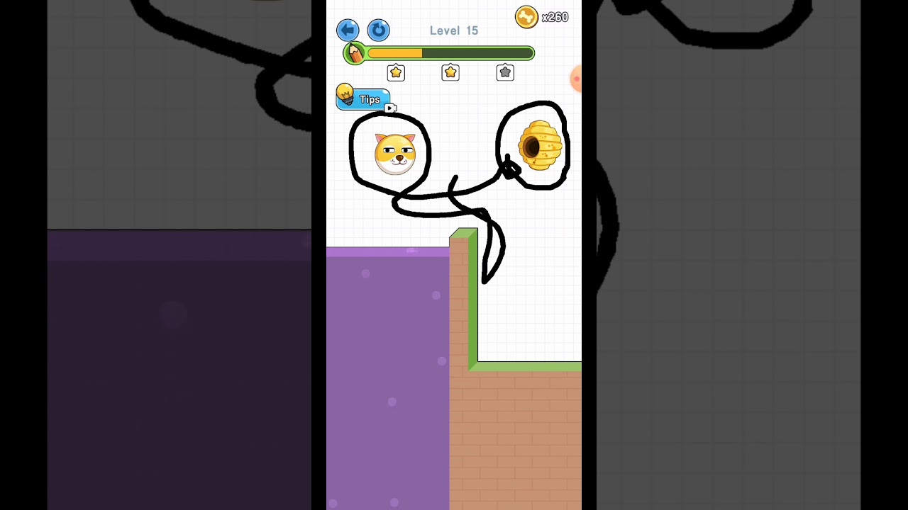 SAVE THE DOG GAME LEVEL 15 