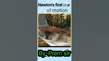 Newton