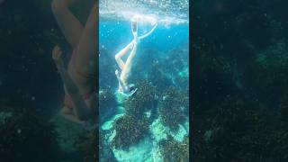 울릉도 #스노쿨링 #underwater #프리다이빙 #gopro #travel