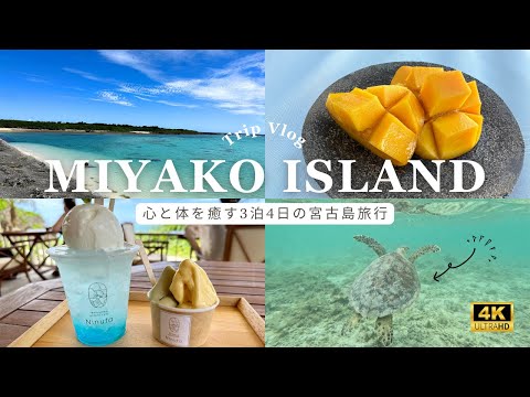 【宮古島旅行Vlog】沖縄離島・宮古島を楽しみ尽くす旅｜幻の島に上陸し、ウミガメと泳ぐ