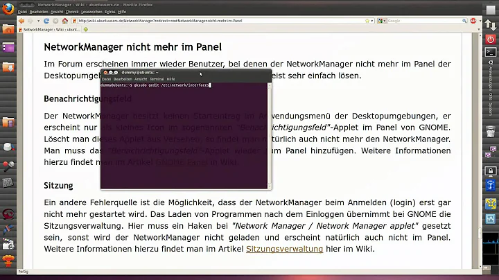 Ubuntu 10.04 NetworkManager Applet ? ( Panel Icon Reset )