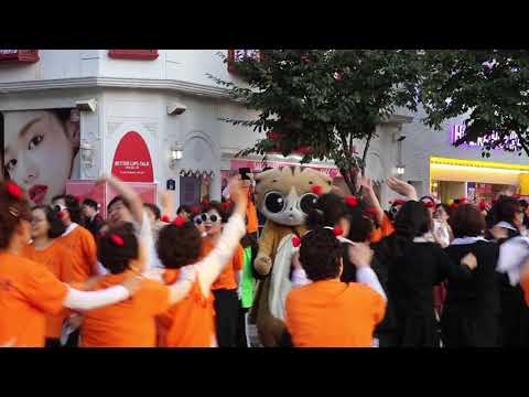 JHKTV] 신촌명물고양이춤추는 <strong>서대문</strong> shinchon special cat Dancing Seodaemun