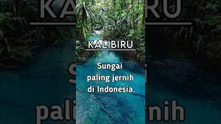 Download Lagu KALIBIRU, SUNGAI TERJERNIH DI NEGERI INI. #wonderfulindonesia #sungai #kalibiru MP3