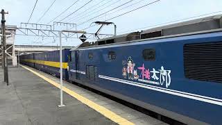 【貨物列車】EF210 113  桃太郎貨物列車 東海道線 2059レ 遅延 通過シーン 2022 07 09