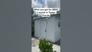 What you get for $800 a month In Tampa  Florida #affordablehousing #floridarentals #florida