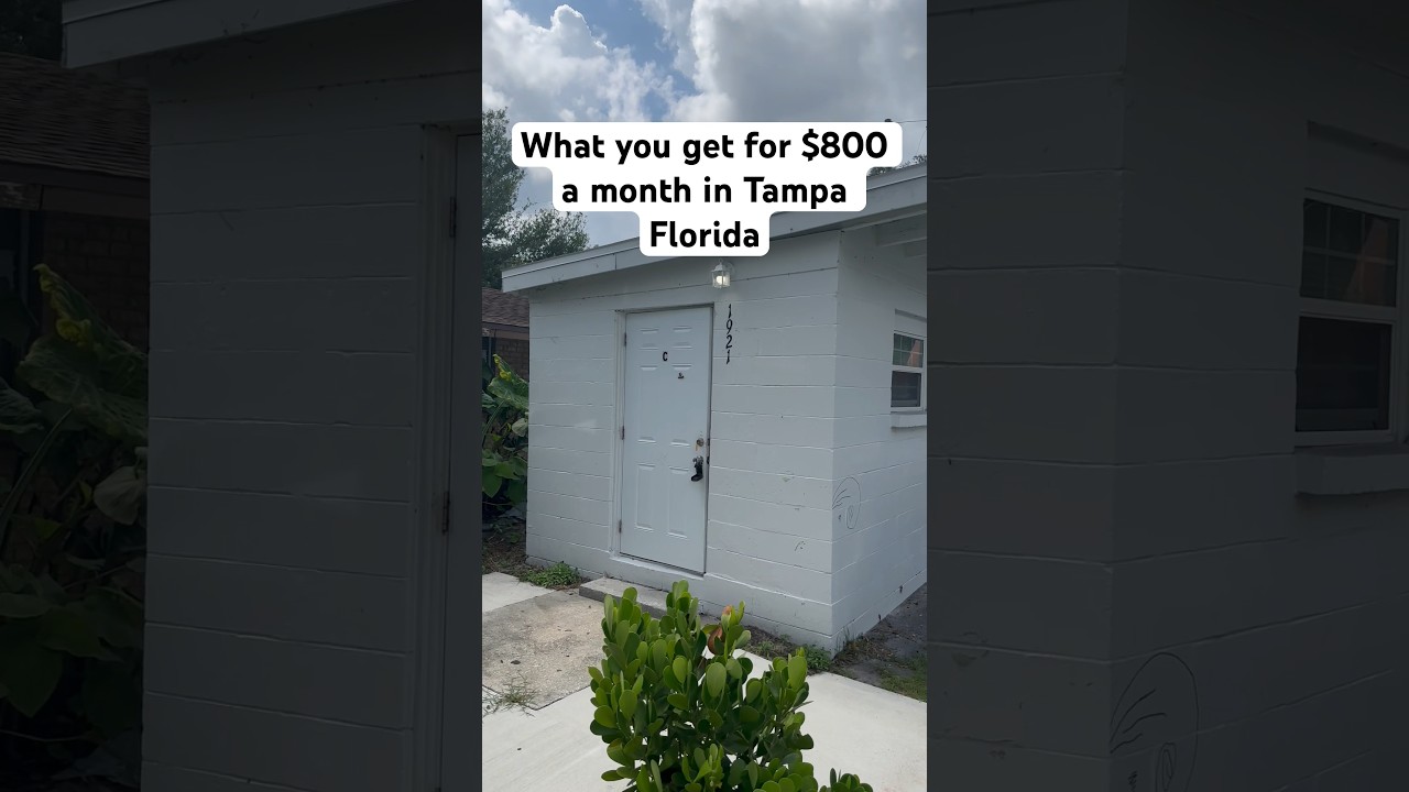 What you get for $800 a month In Tampa  Florida #affordablehousing #floridarentals #florida