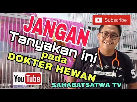 Video: Mengapa Dokter Hewan Anda Tidak Merekomendasikan Asuransi Kesehatan Hewan Peliharaan