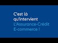 Assurancecrdit ecommerce  la solution digitale dassurancecrdit dallianz trade