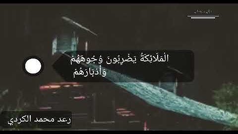 حالات واتساب من سورة //الانفال//للقارء #رعد محمد الكردي