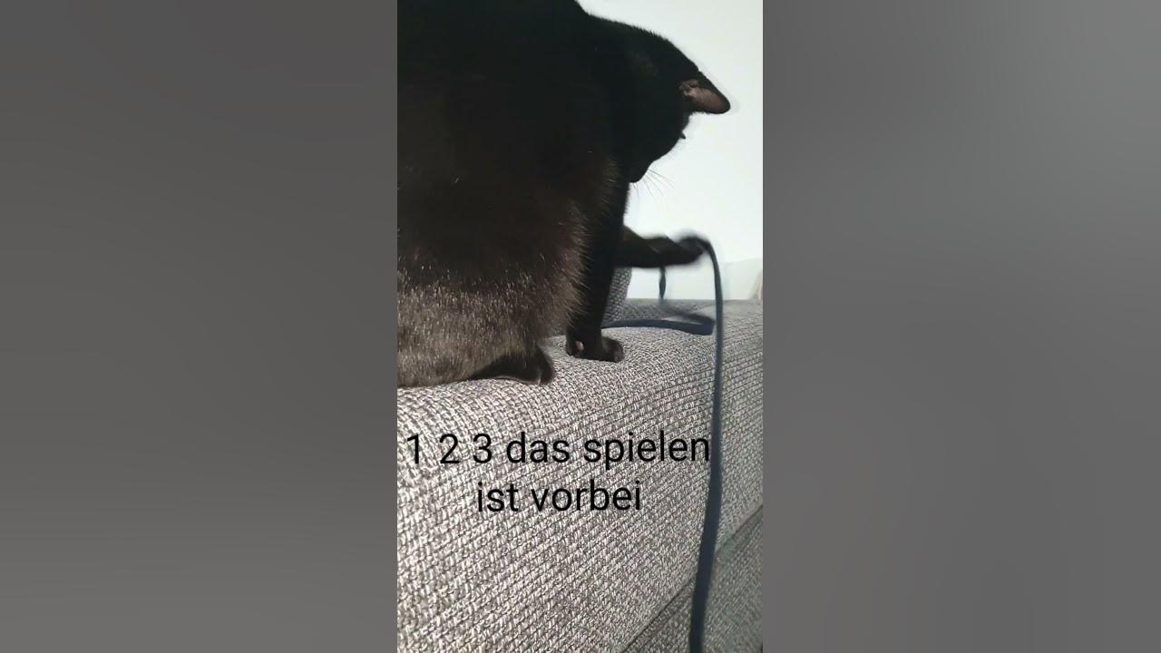 das spielen ist vorbei 🐈‍⬛ YouTube