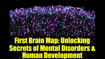 First Brain Map: Unlocking Secrets of Mental Disorders & Human Development