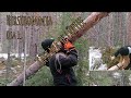 OSA 1. Hirsihommia. Tästäpä se lähtee.