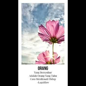 Syukuri Apa Yang Ada 😇 • 🎵 : D'MASIV - Jangan Menyerah