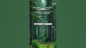 The Future Role of AI in Enhancing Wildlife Conservation