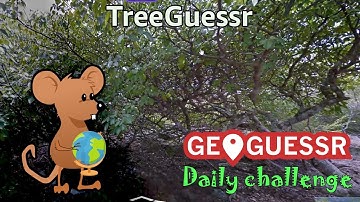 Geoguessr Daily Challenge - NMPZ December Challenge - You Need To Know Your Trees Here