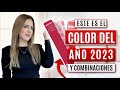 El COLOR del AÑO 2023 que Debes CONOCER y sus COMBINACIONES / Daniela Liepert