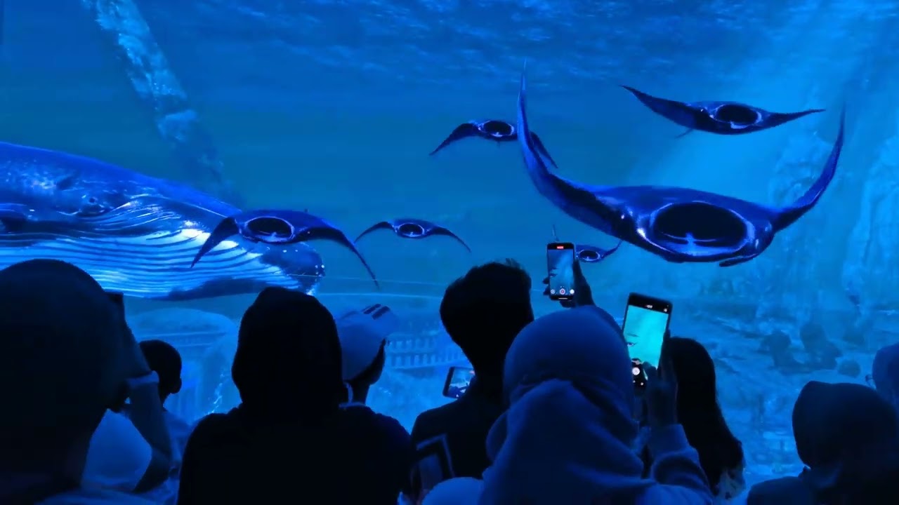 Aquarium Virtual Immersive Park Jatim Park 2 with Qiandra.