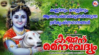 കണ്ണിനും മനസ്സിനും ആനന്ദപരവേശമുണർത്തുന്ന ഗാനങ്ങൾ |  Devotional Songs  | SreeKrishna Songs
