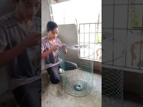 Video: Paano Gumawa Ng Isang Bahay Ng Ibon