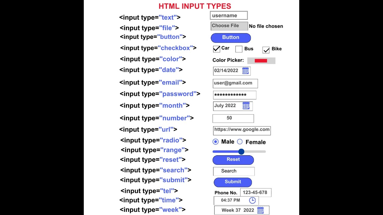 HTML Input Tags List Tutorial For Beginners Web Development 