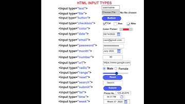 HTML Input Tags List Tutorial For Beginners (Web Development)