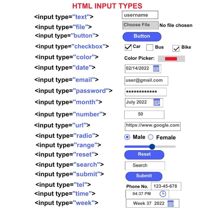 HTML Input Tags List Tutorial For Beginners (Web Development)