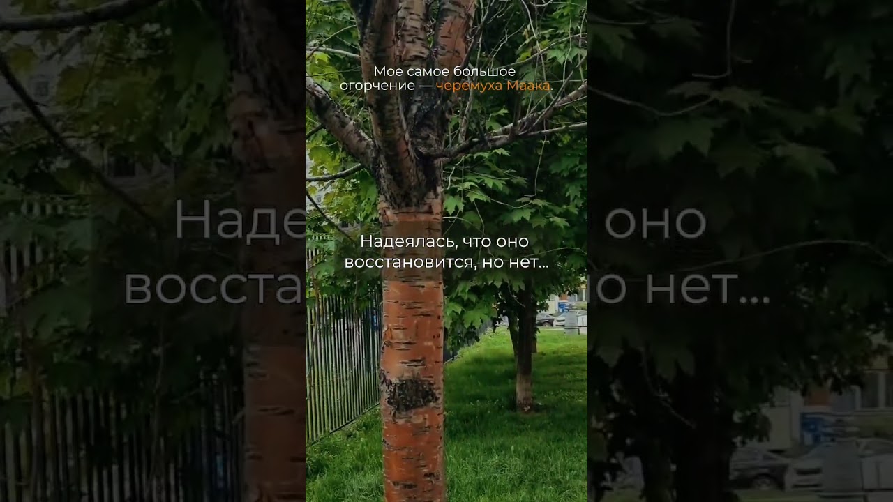 🤔Мое самое большое разочарование.. Подробно в комментарии.  