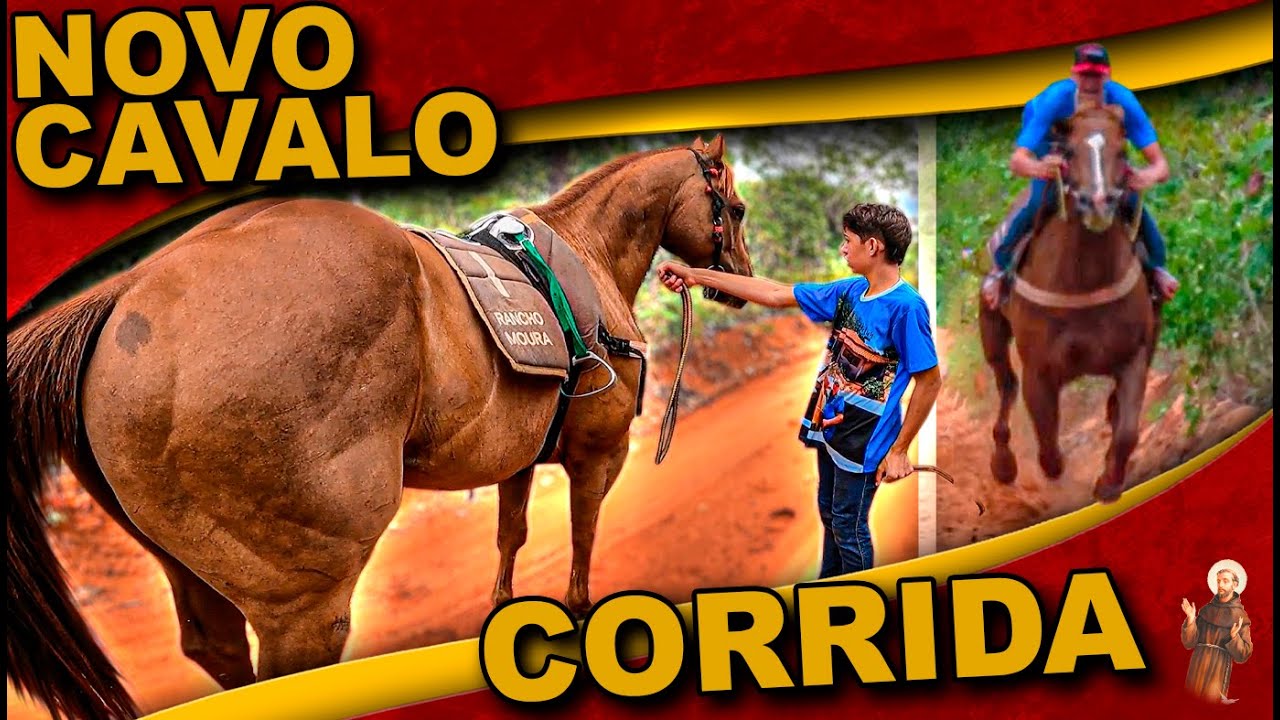 Nosso NOVO Cavalo de Corrida - YouTube