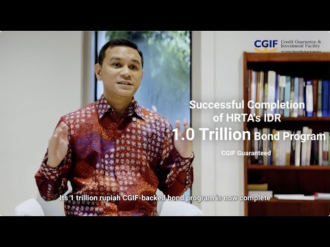 Credit Guarantee & Investment Facility - Video demonstration