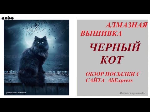 Алмазная вышивка кот на заборе