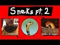 Internet Names for Snakes - Part 2