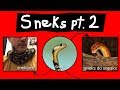 Internet Names For Snakes Part 2 Internet Names For Snakes Part 2
